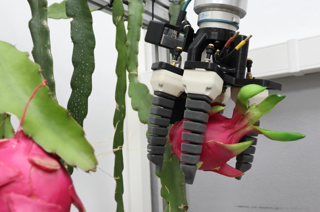 Dragonbot 1