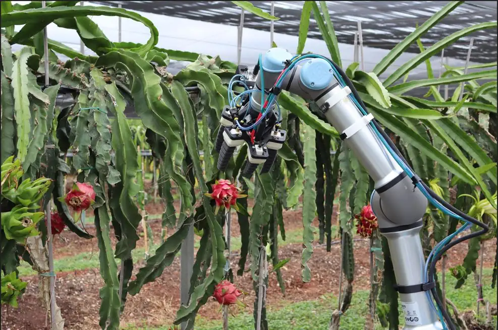 Dragonbot 2 Sistema robótico para la recolección de pitayas