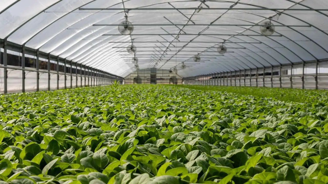 smart agri